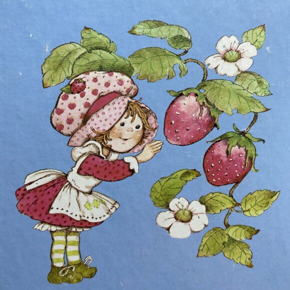 The Adventures of Strawberry Shortcake and Her Friends Hardcover 1980 - Picture 14 of 14